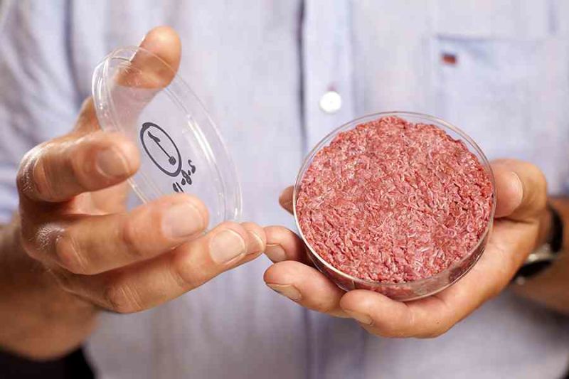 Zářná budoucnost umělé výroby masa