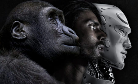 Ape, human, robot